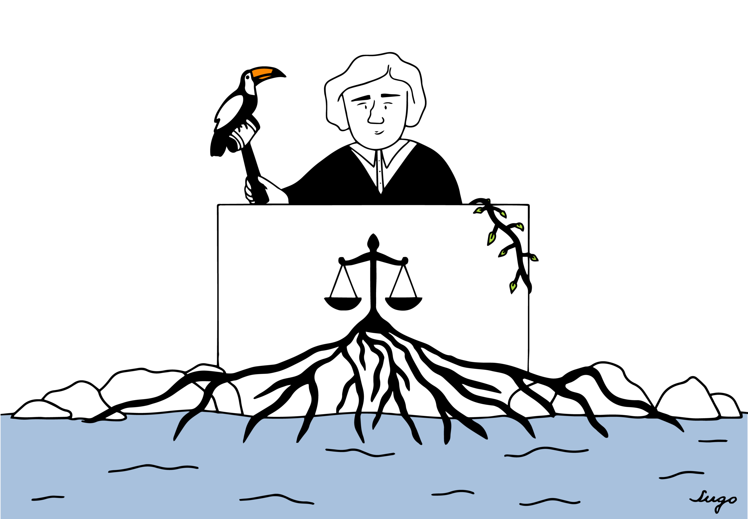 El acceso a la justicia ambiental: el gran olvidado en la reforma judicial